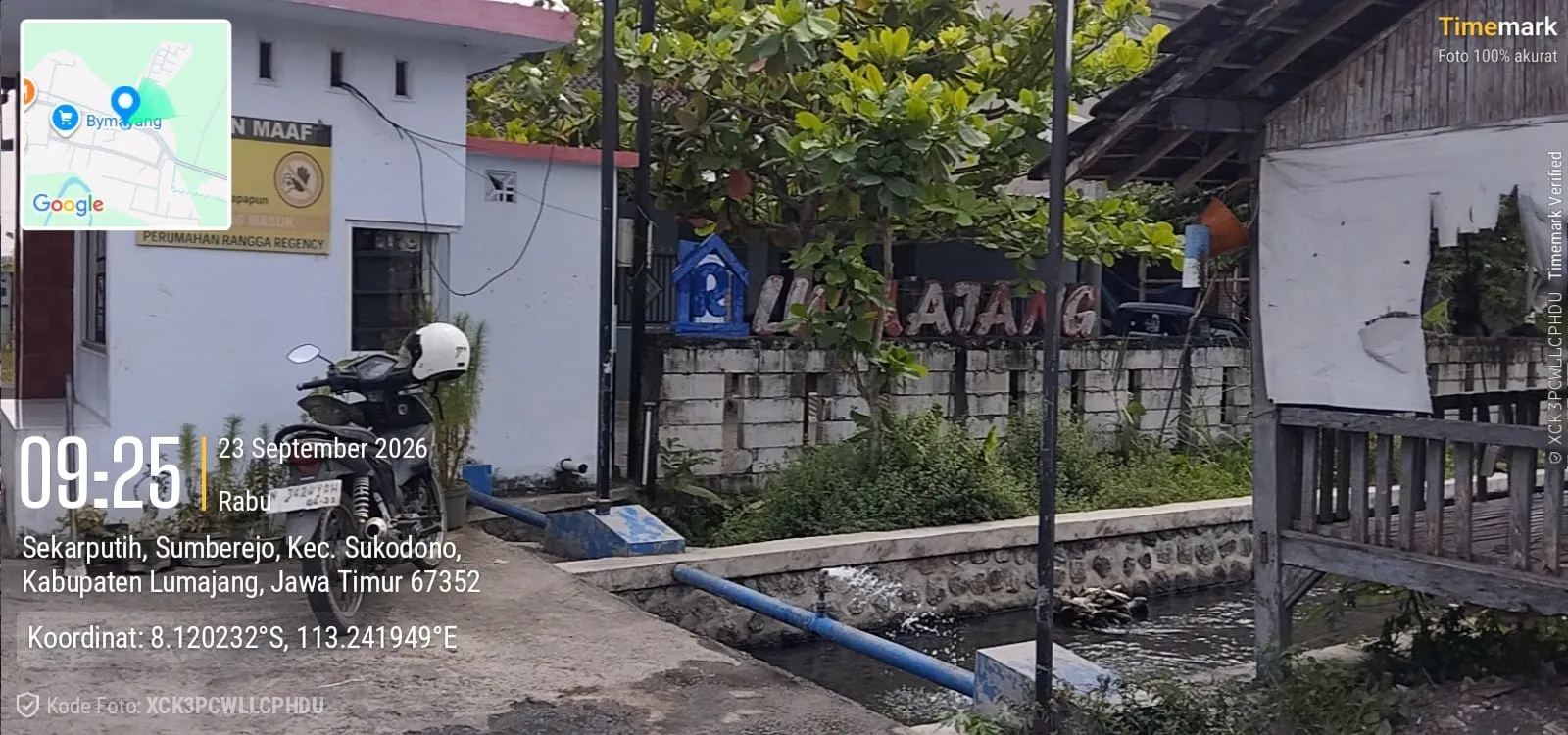 1000877818.webp